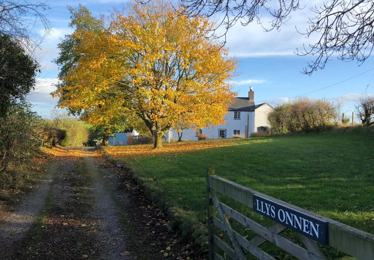 Llys Onnen - North Wales Holiday Cottage Молд Екстериор снимка