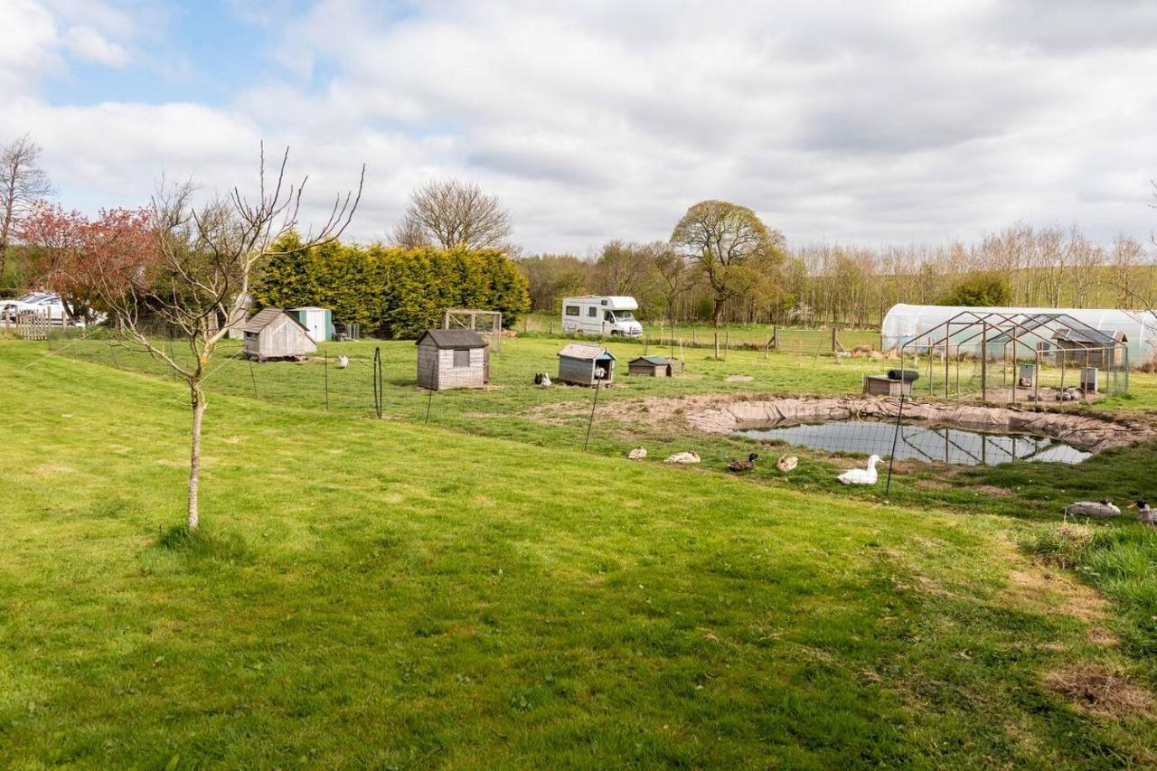 Llys Onnen - North Wales Holiday Cottage Молд Екстериор снимка