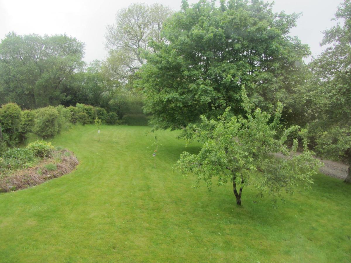 Llys Onnen - North Wales Holiday Cottage Молд Екстериор снимка